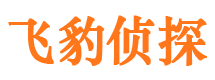 六合市调查公司